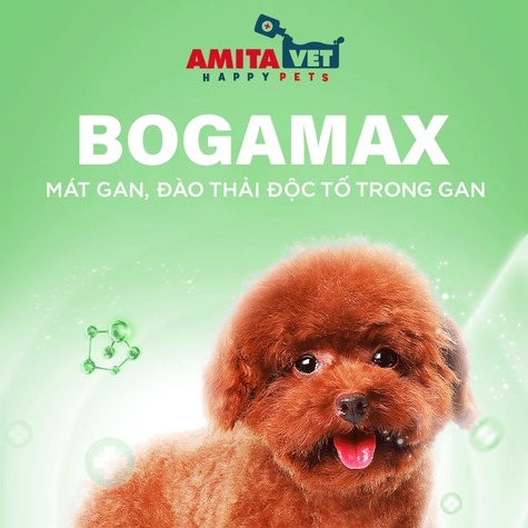 Giải độc gan chó mèo BOGAMAX PET-Plus  35g AMITAVET giúp thú cưng mát gan giảm mụn nhọt mẩn ngứa chiết xuất thảo dược