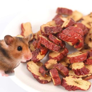 Táo tàu dinh dưỡng - ăn dặm cho Hamster, Sóc Bông, Sóc Đất, Sóc Bay Úc... 50g