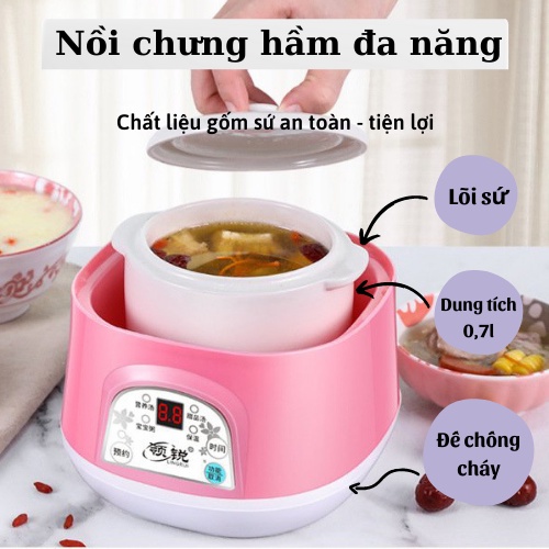 Nồi chưng yến cực kì tiện lợi lõi sứ, nấu cháo chậm hẹn giờ thông minh cách thủy 4 in 1, dung tích 1L-2L
