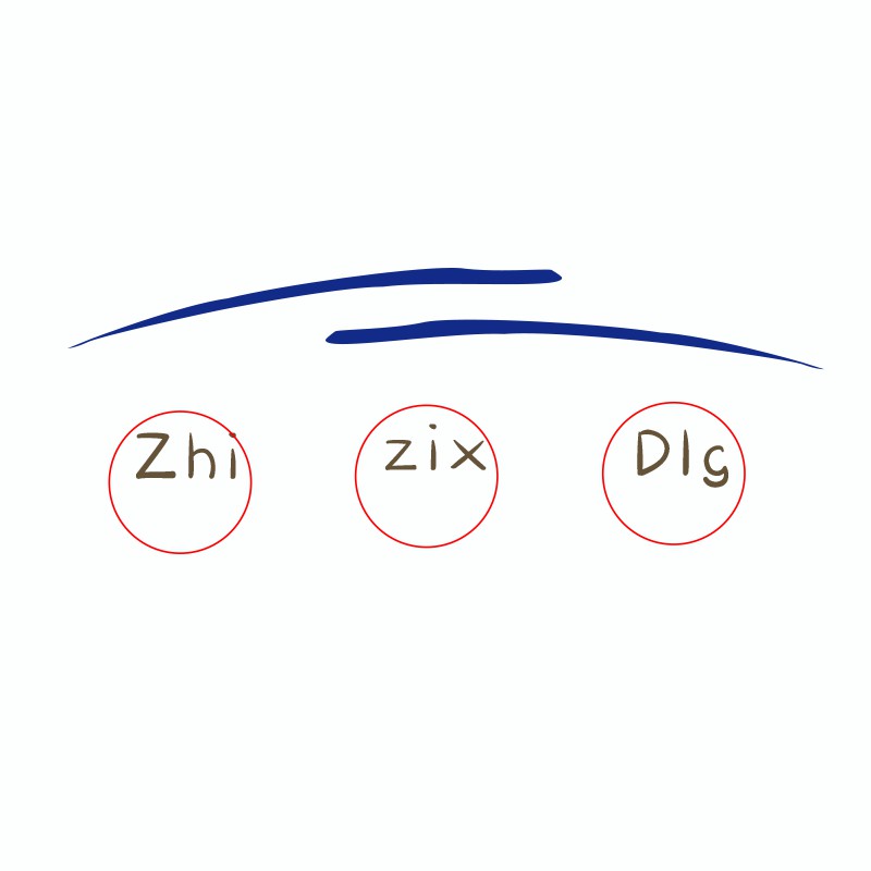 zhizixdig.vn