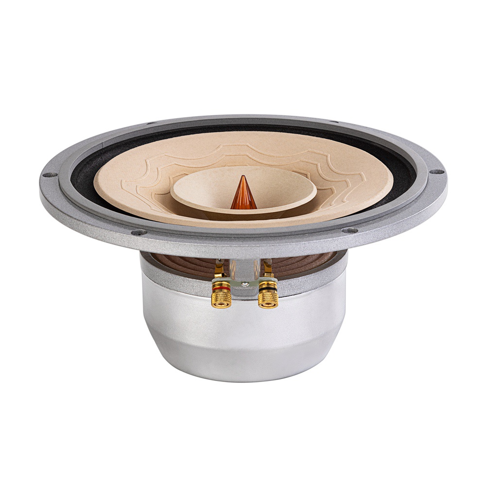 Củ loa rời toàn dải 25cm Lii Audio Silver-10, giá bán theo cặp