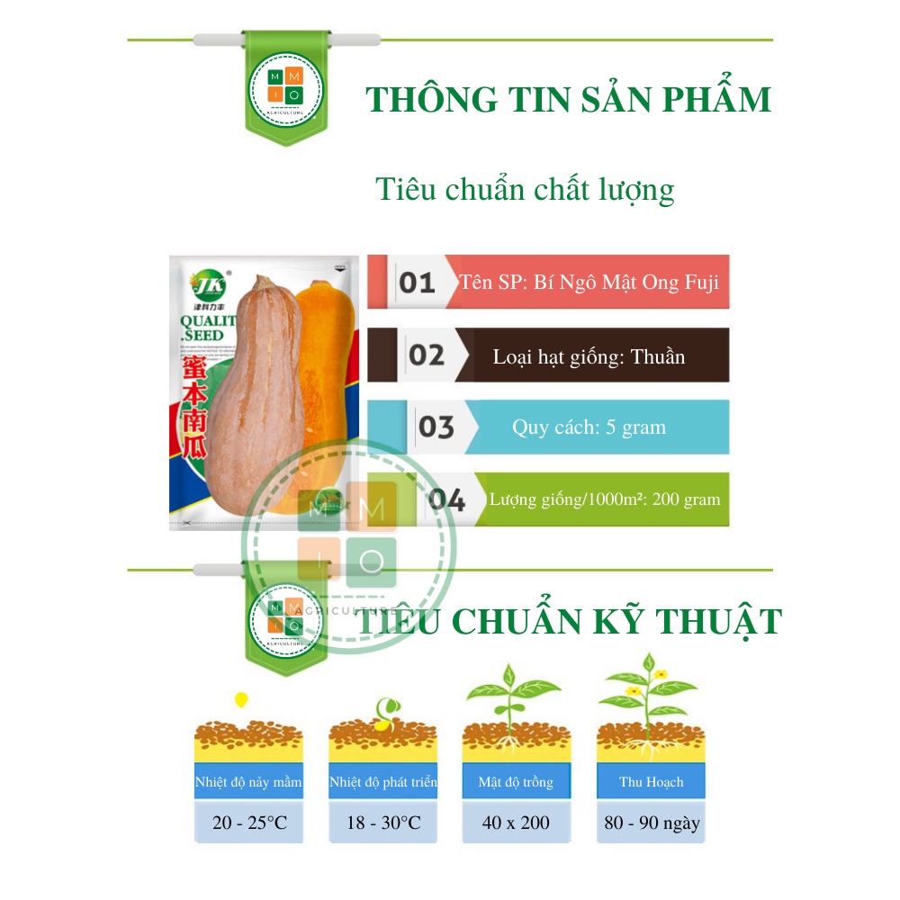 Hạt giống bí ngô mật ong Fuji