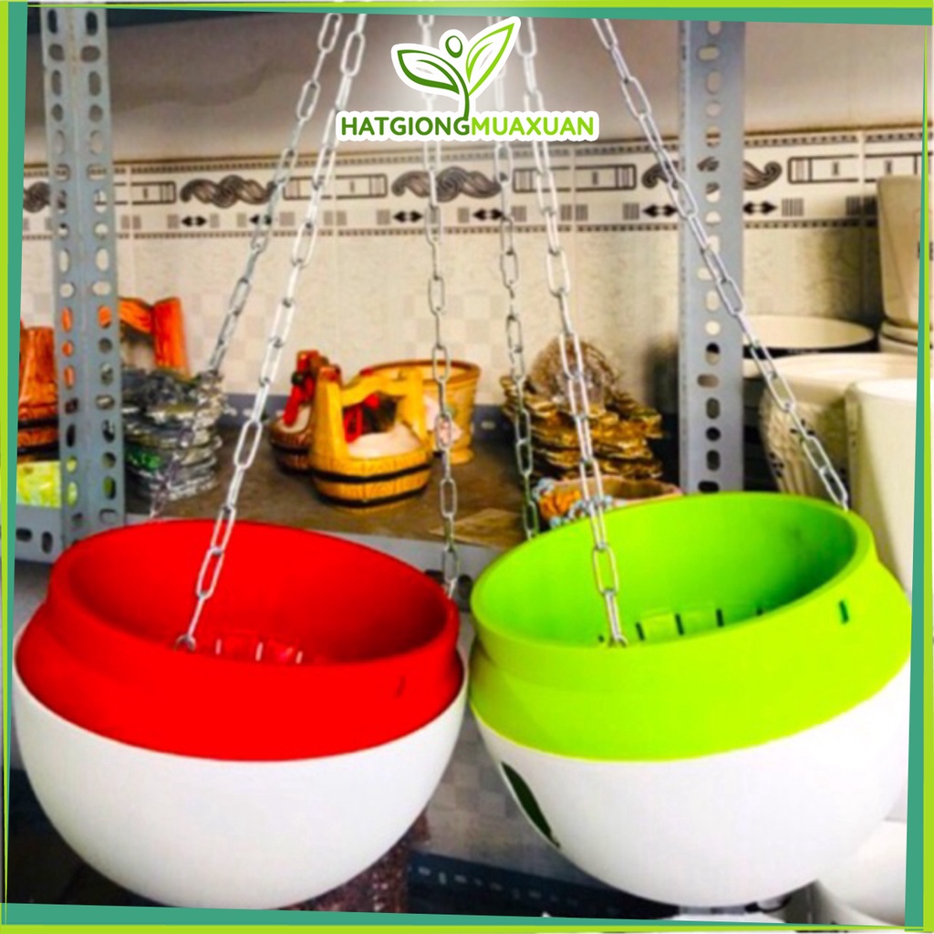 Chậu Treo Thông Minh, Chậu Treo Tự Dưỡng - (2 size) kèm dây xích treo