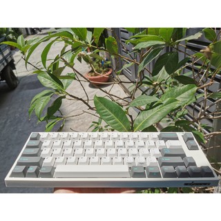 Bàn phím - Keyboard Leopold FC660MPD