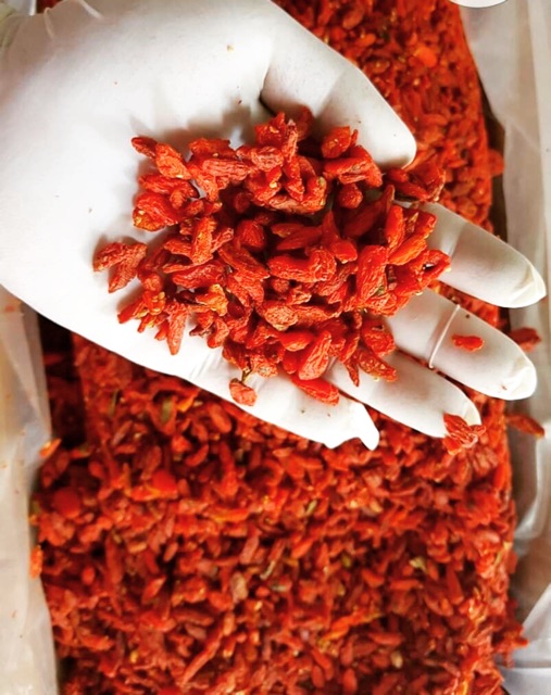 [ 100gr ] Trà kỷ tử - Kỷ tử hữu cơ ( câu kỷ tử ) Organic | BigBuy360 - bigbuy360.vn