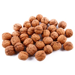 Hạt Óc Chó Nguyên Vỏ -WALNUT INSHELL G500gr