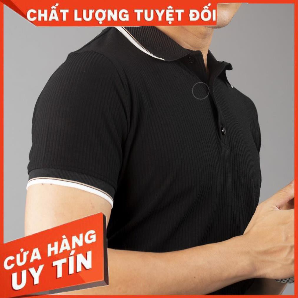 Áo Polo nam chất dệt kẻ vân nổi phối cổ áo thun tay ngắn cổ bẻ viền lịch lãm PL14 - Leo Vatino