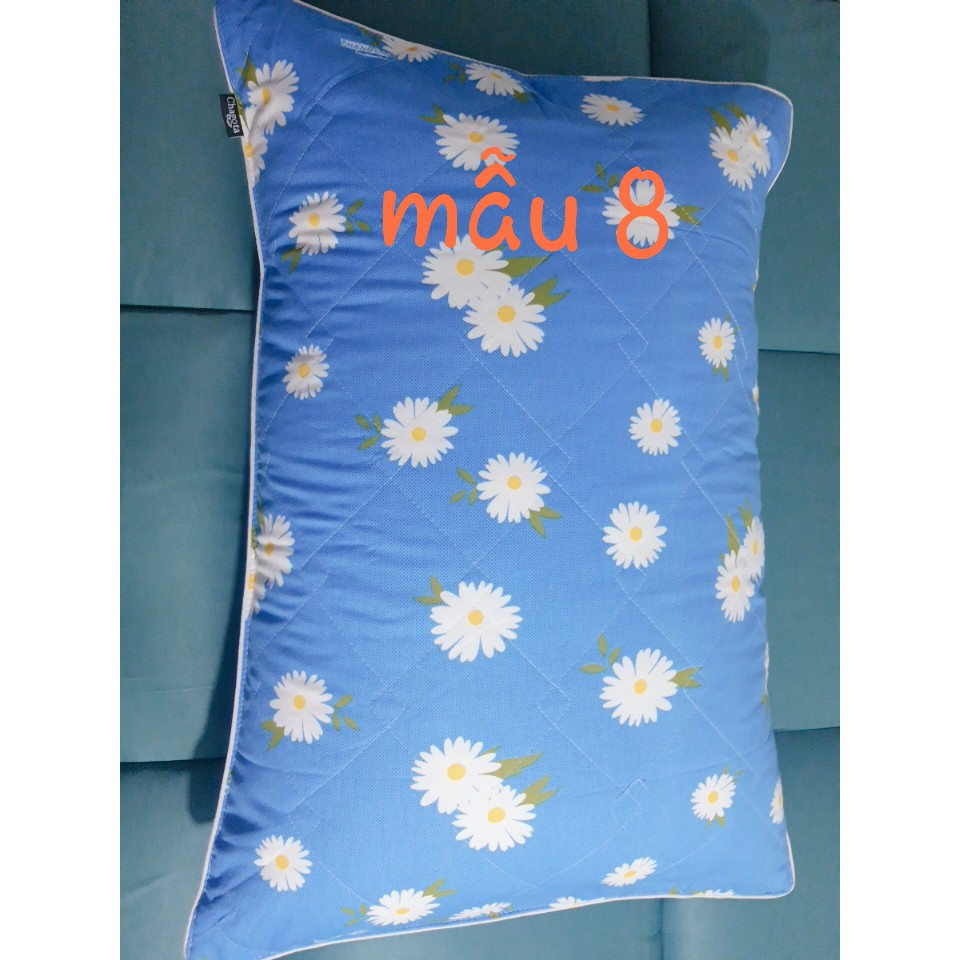 COMBO RUỘT GỐI + ÁO GỐI COTTON THẮNG LỢI KÍCH THƯỚC 50x70cm