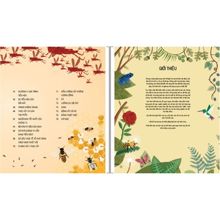 Sách - Hành Trình Của Sự Sống - Amazing Evolution
