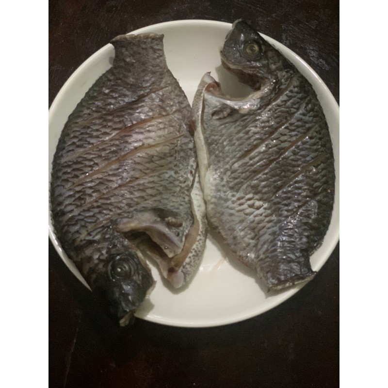 🐟🐟🐟 Cá Rô Phi Biển Bạc Liêu 1 Nắng 🐟🐟