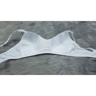 Áo con gấu size lớn size 38 - size 40 - size 42