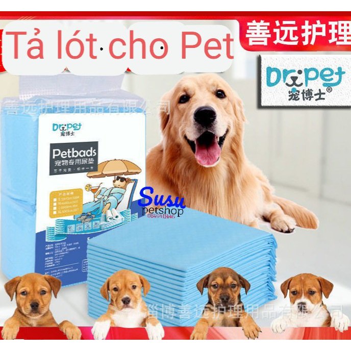 1 miếng- Tả lót khử mùi Carbon cho Pet