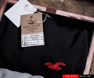 Phông trơn Holister
