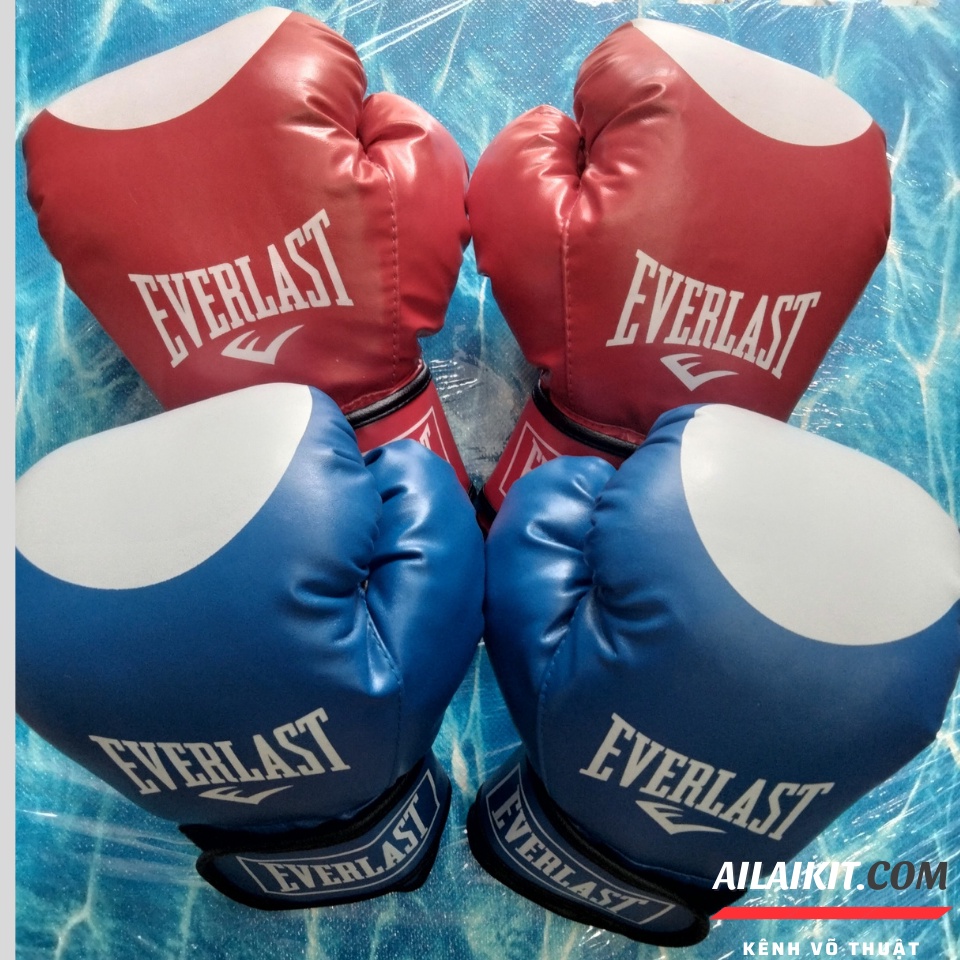 Găng Đấm Boxing Everlast , Vovinam, Taekwondo, Karatedo, Võ Cổ Truyền Muay Găng Đấm Ailaikit