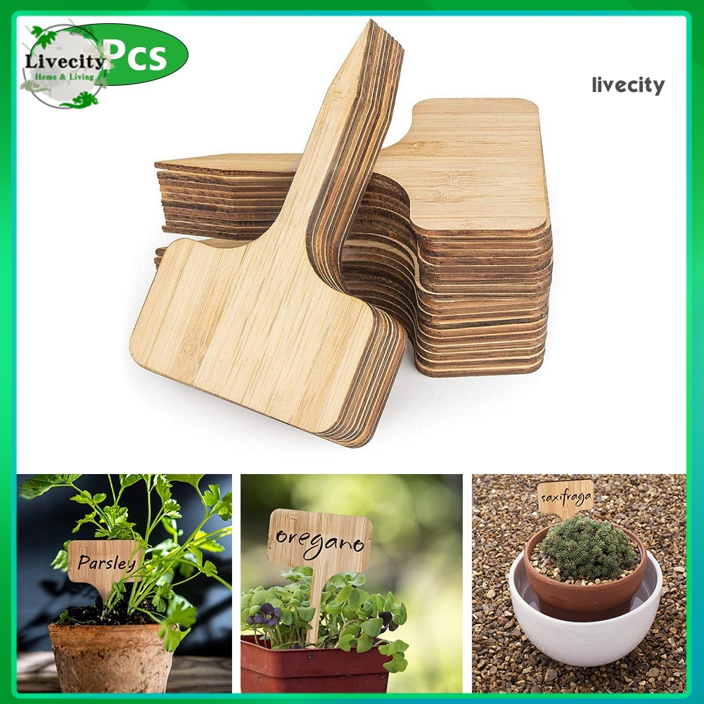 Set 20 tag gỗ dùng ghi tên chậu cây