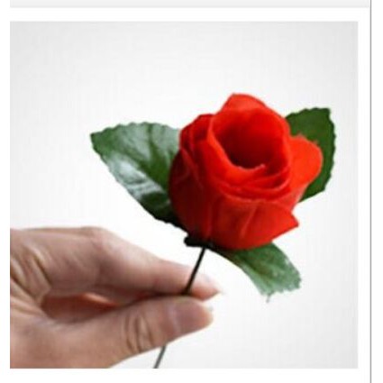 Ảo thuật Hoa hồng gấp - Đạo cụ ảo thuật tặng bạn gái lãng mạng tình cảm