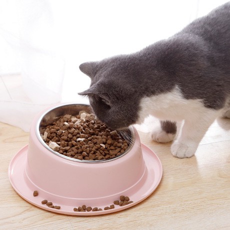Bát ăn inox nghiêng chống kiến cho chó mèo