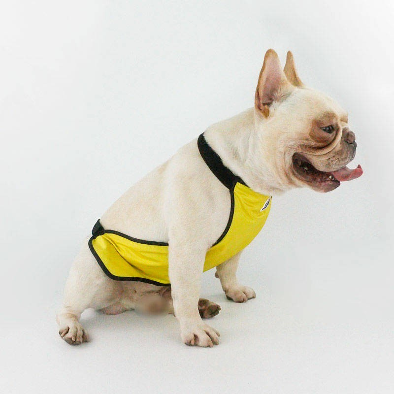  Dog Clothes Summer Waterproof Apron Raincoat Corgi/French Bulldog Teddy Four Seasons Belly Protection Prevent Catching Cold Anti-Dirty Bib Molars pet dog toys pet Frisbee pet products