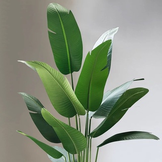 Cây chuối giả 2m