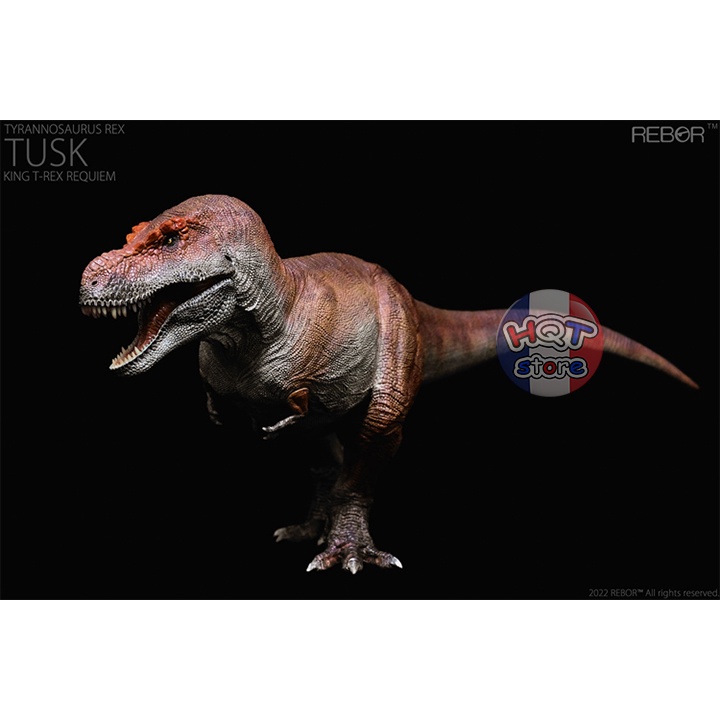Mô Hình Khủng Long T-Rex Tusk Kiss REBOR tỉ lệ 1/35