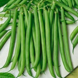 Hạt giống Đậu Cove Leo quả tròn