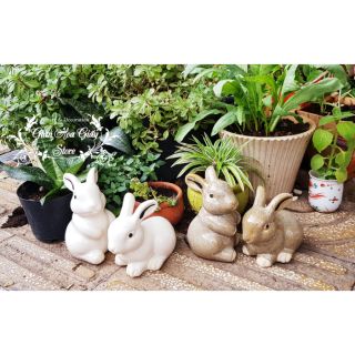 Cặp Thỏ nâu trứng cút