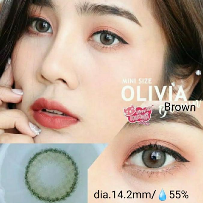 Mini Nobluk Nâu / Nâu Softlens. Bình Thường / Minus | BigBuy360 - bigbuy360.vn
