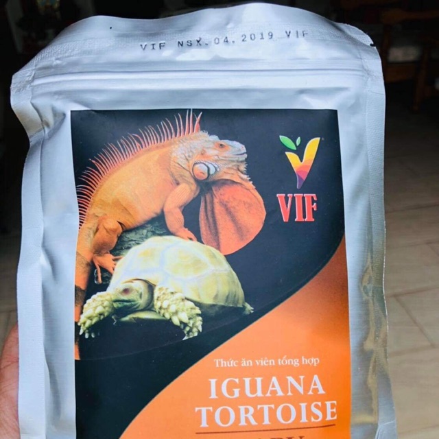 VIF thức ăn iguana và sulcata