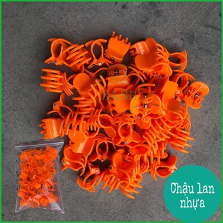 kẹp bướm lan 50 cái ( loại đại)