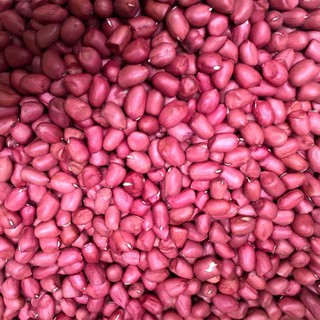 100g LẠC NHÂN ĐỎ ĐIỆN BIÊN [CAM KẾT HÀNG CHUẨN]