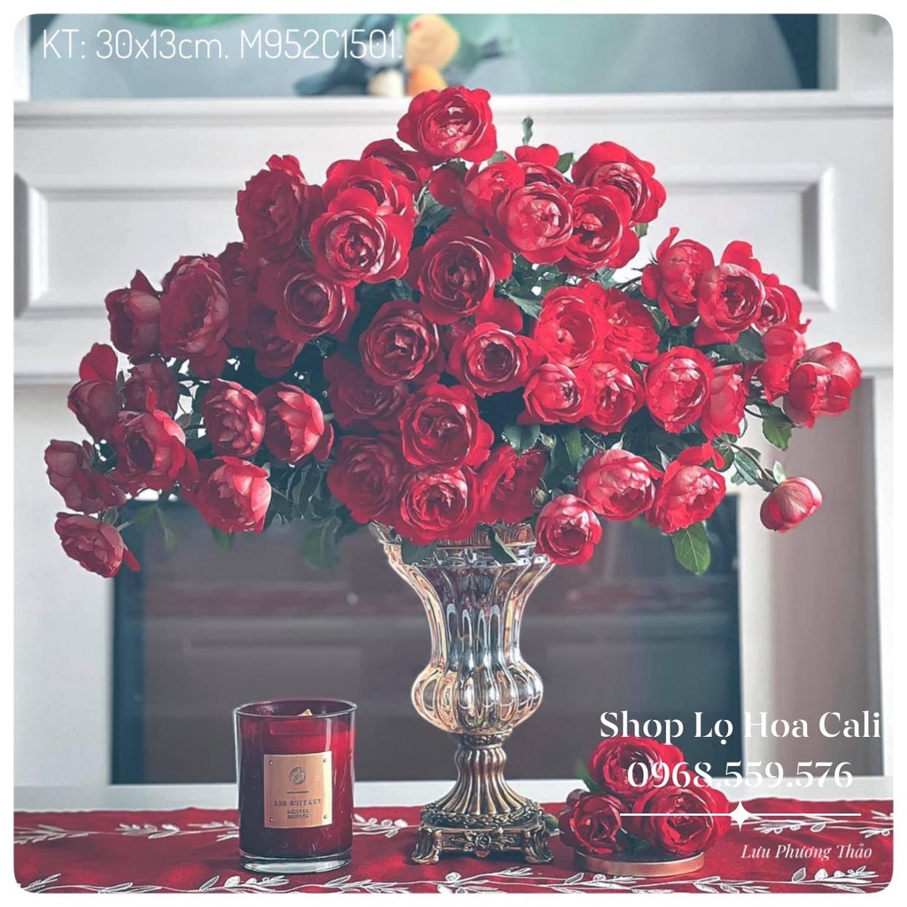 Lọ hoa Queenland - Bình Ly Nhập Khẩu