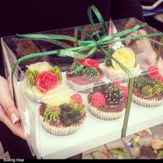 Combo mua 10 tặng 1: hộp bánh cupcake 6 cái nhựa trong