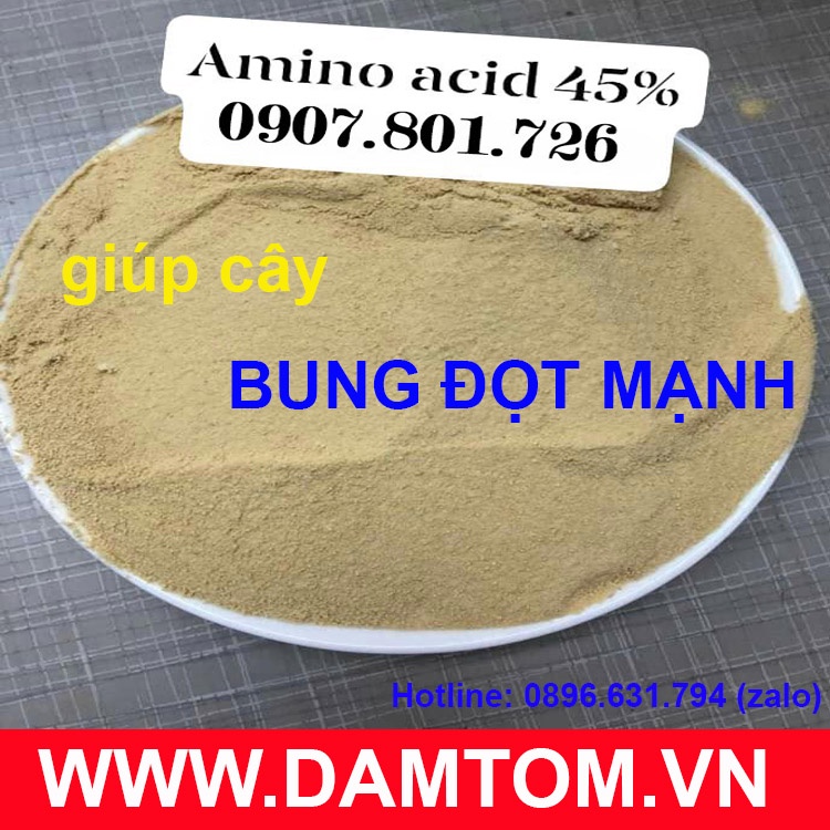 Phân bón amino acid - gói 1kg