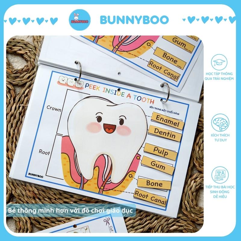 Học liệu bóc dán thông minh BUNNYBOO chủ đề Bộ phận cơ thể người