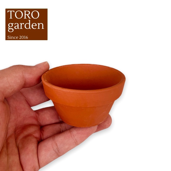 CHẬU ĐẤT NUNG LÙN ĐƯỜNG KÍNH 8CM  SIÊU PHẨM TRỒNG SEN ĐÁ