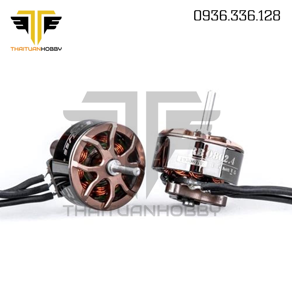 Động Cơ Flywoo ROBO 0802 16500kv/ 19500kv