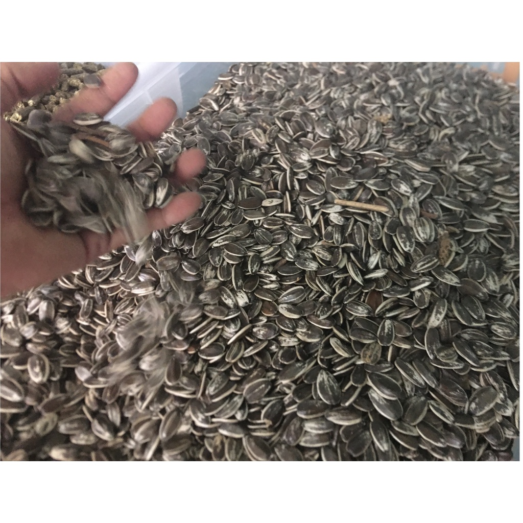 HẠT HƯỚNG DƯƠNG CHO HAMSTER, VẸT, SÓC, THÚ NHỎ 1KG