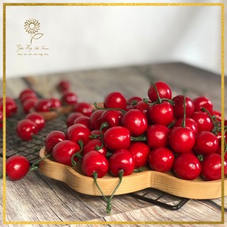 Trái giả_Trái Cherry xốp màu đỏ mận _ Hoa vải Gia Hy