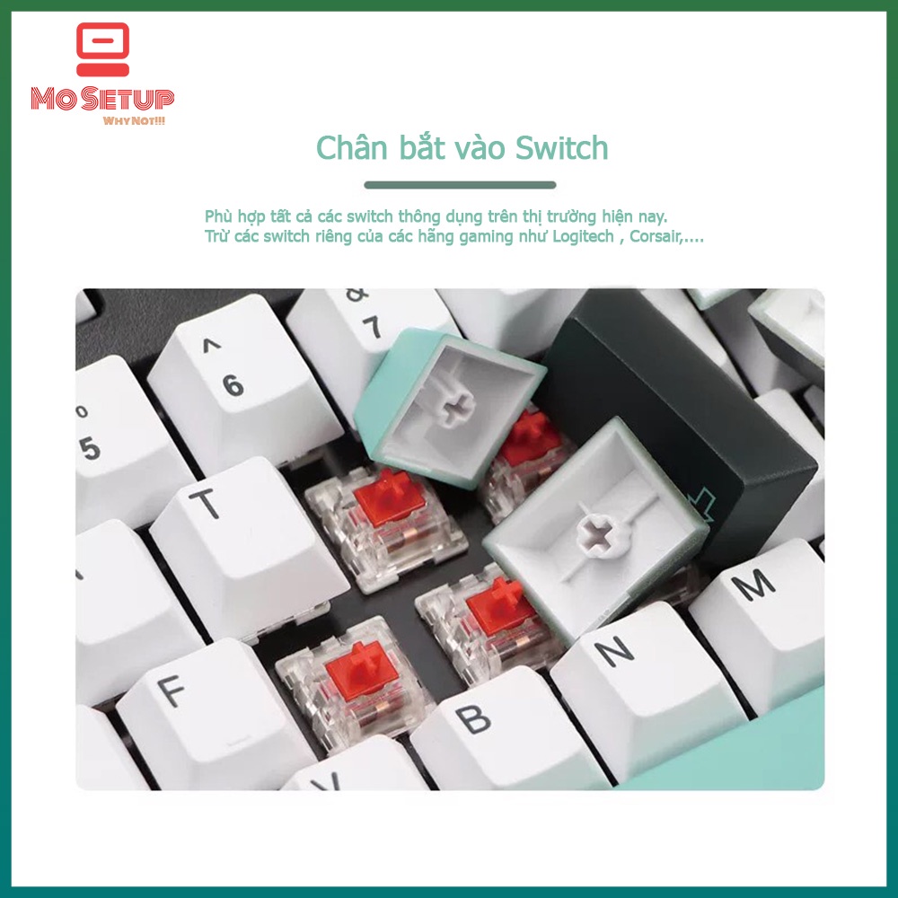 Keycap PBT Botanical - Profile CHERRY -Phù hợp tất cả các Layout 61,68,84,98,TKL,Fullsize