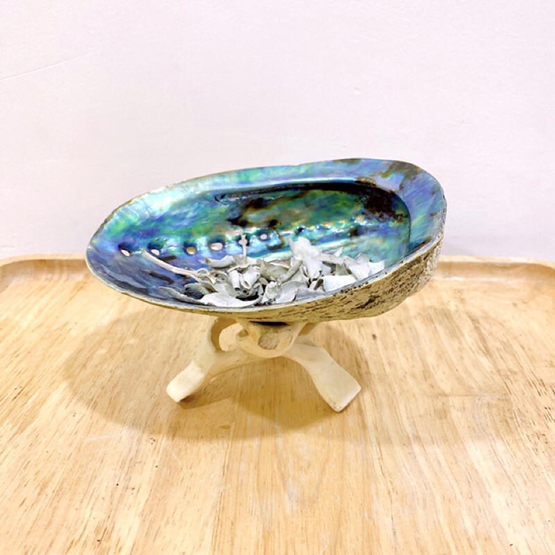 Đĩa ốc xà cừ New Zealand  - Natural Abalone Shell