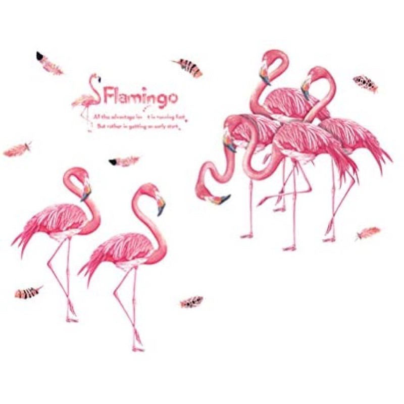Decal trang trí tường - Cò Hồng Quý Tộc Flamingo
