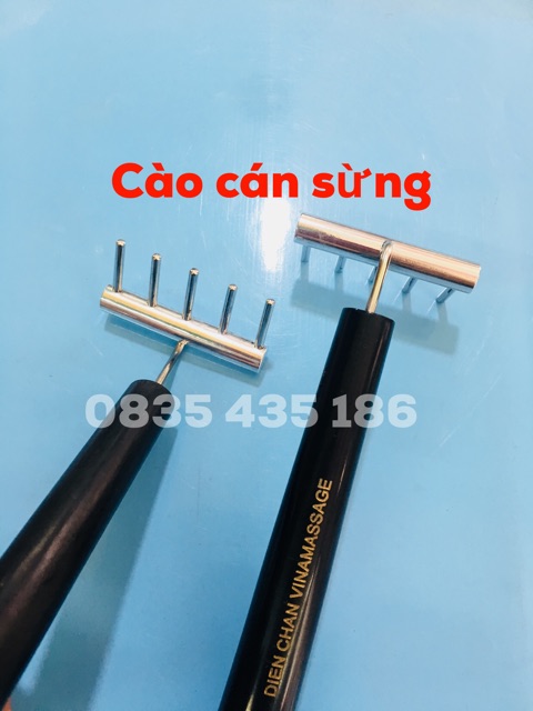 Dụng Cụ Diện Chẩn-CÀO CÁN SỪNG LỚN