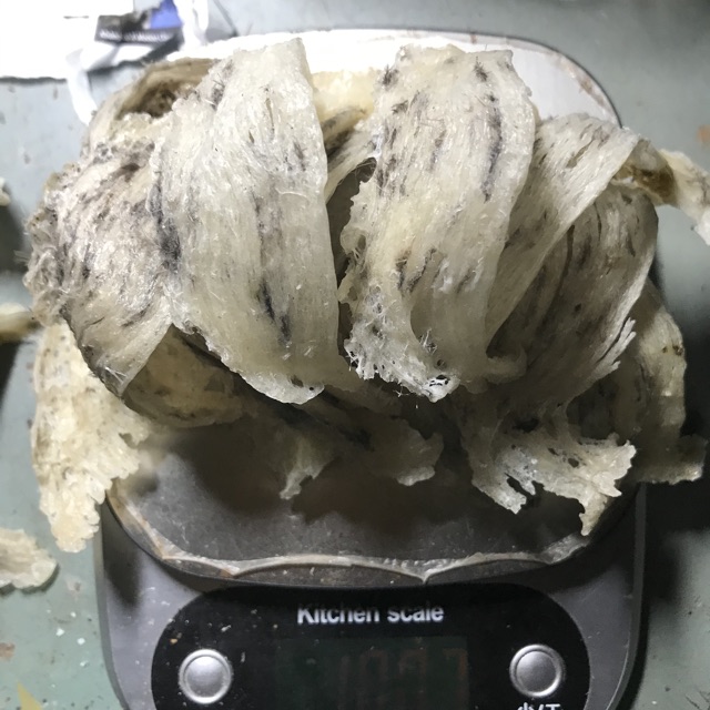 Yến sào thô nguyên tổ Nha Trang, Khánh Hoà 100g +🎁🎁🎁