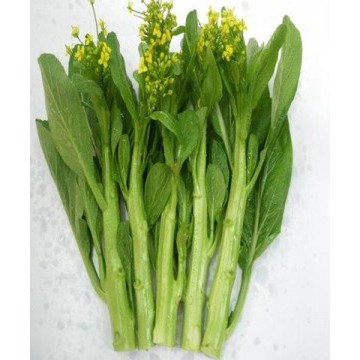 20Gr Hạt Giống Cải Ngọt Ăn Bông (A2.403| W15*W55) (Brassica juncea)