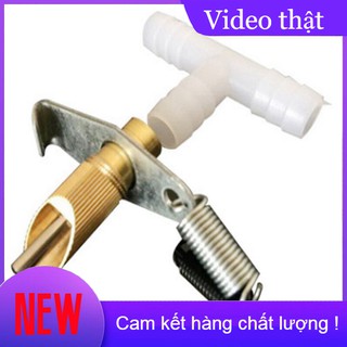 [DN123] Van uống nước cho thỏ - Van crom chất lượng