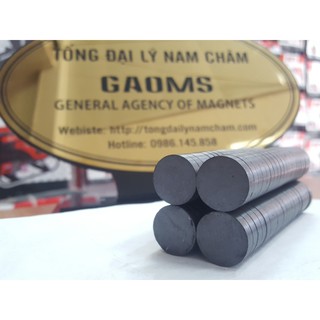 Nam châm đen Ferrite 20x5mm