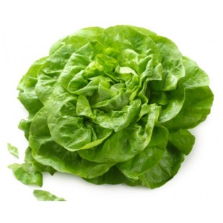 Hạt giống Xà lách đăm (xà lách cuộn) 2 gram