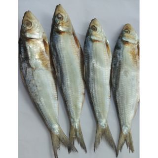 Khô cá Trích nguyên con loại lớn (cá biển Tuy Phong, BÌnh Thuận), gói 1kg (70 - 75 con)