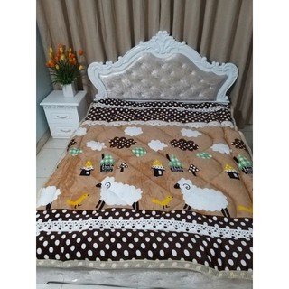 Chăn lông cừu cao cấp mùa đông hoạ tiết đẹp (chăn phồng như hình) được chọn màu