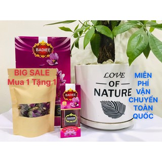 [BIG SALE MUA 1 TẶNG 1] Hộp 01gr Nhụy Hoa Nghệ Tây thương hiệu Badiee Saffron / Saffron Iran chính hãng loại Negin
